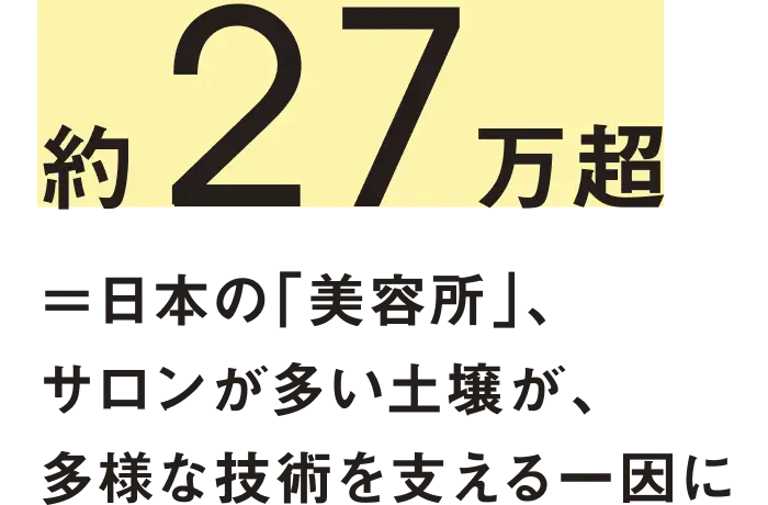 日本の美容水準