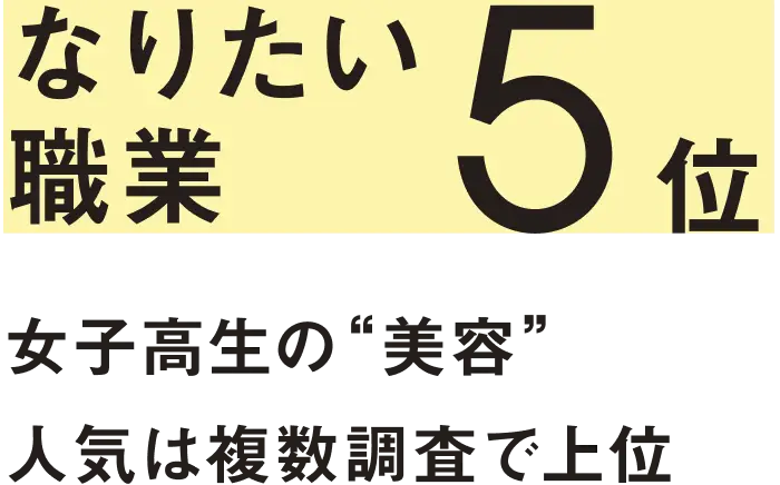 日本の美容水準